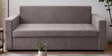 Crawford Sal Wood  3 Seater Sofa Cum Bed In Brown Colour