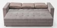 Crawford Sal Wood  3 Seater Sofa Cum Bed In Brown Colour