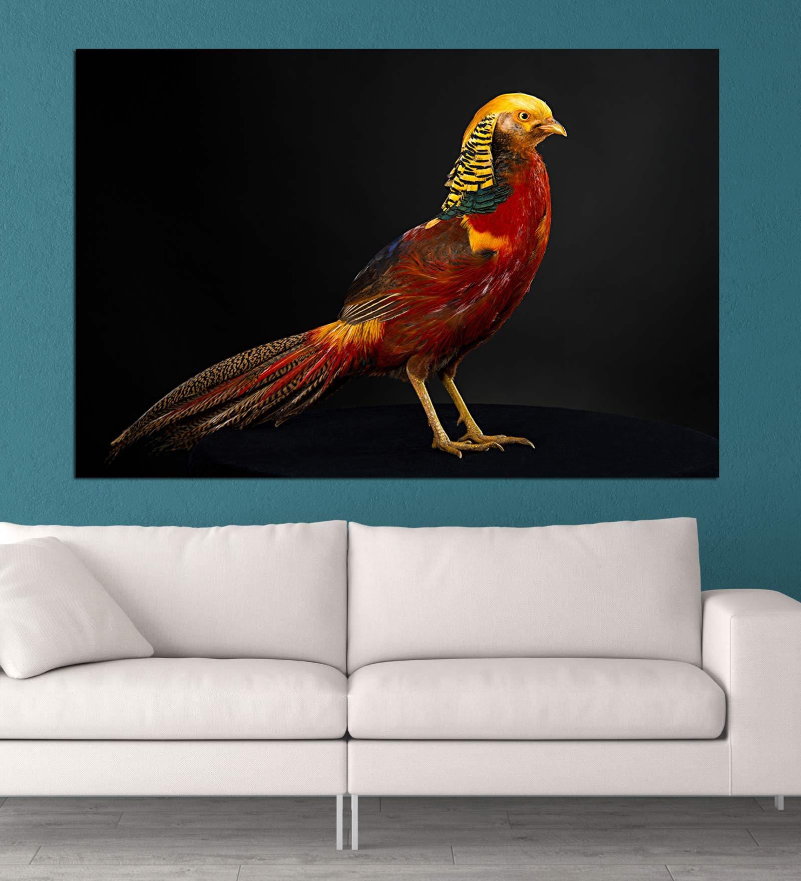 Bird In Cream Canvas Framed Art Print (33 x 21 Inches)