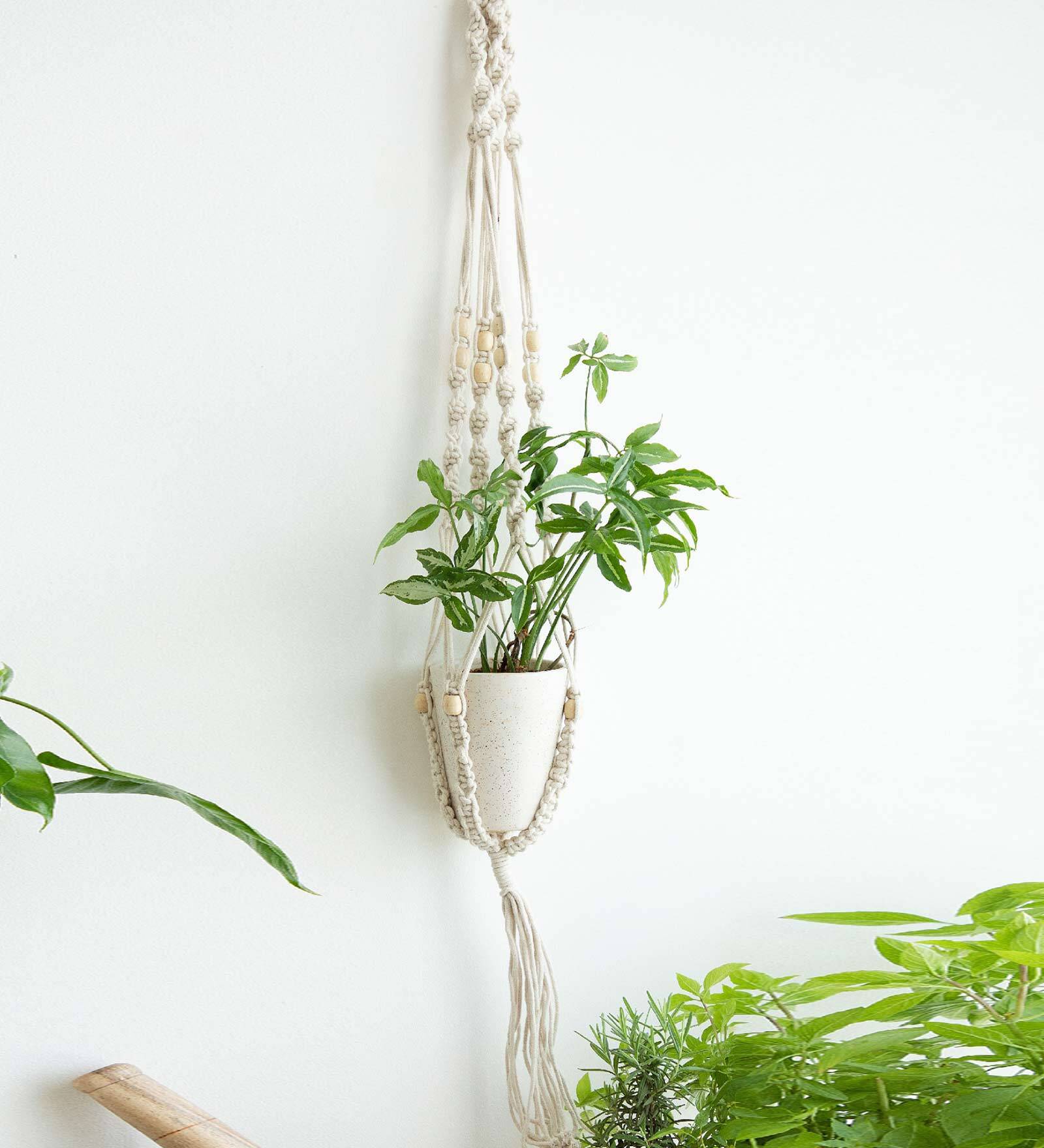 Cream Beads Knotted Cotton Boho Rope Macrame Plant Holder, Set of 4