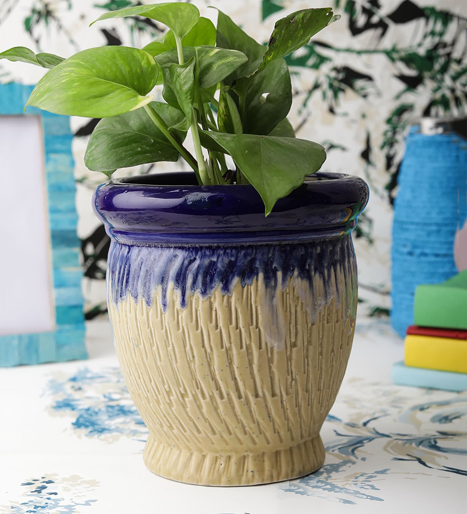 Matt 6 inch Cream Ceramic Planter