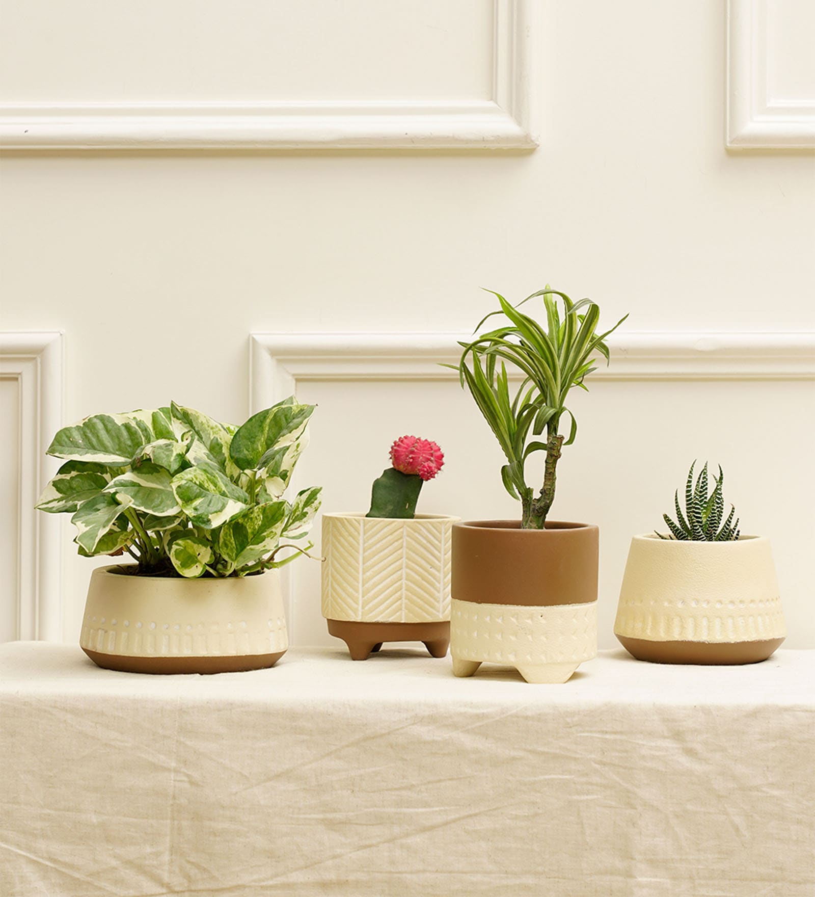 Gardenia Cream Terracotta (Set of 4) Desk Pot