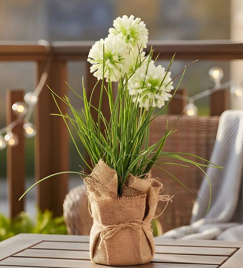 Cream Silk Plastic And Jute Faux Allium Flower Bunch With Jute Wrap