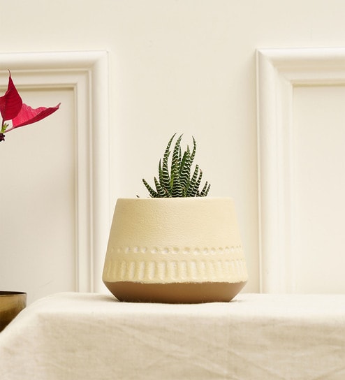 Gardenia Cream Terracotta Desk Pot by Purezento