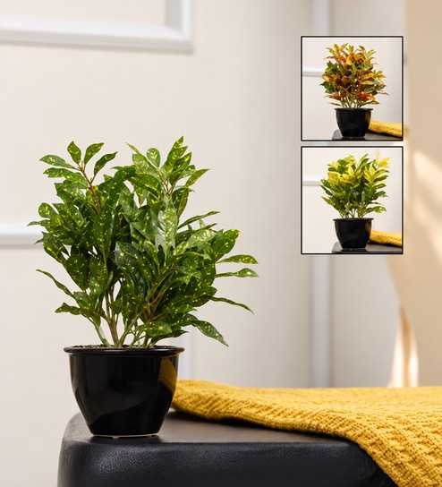 Red Fabric Artificial Croton Bonsai with Ceramic Base