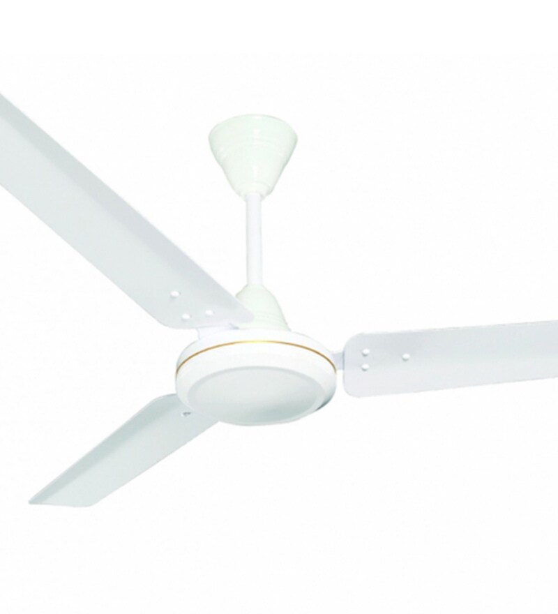 unique cactus planters