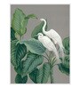 Crane Green Canvas Framed Wildlife Art Panels Set of 3