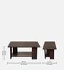 Crayon Coffee Table in Dark Brown Colour