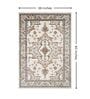 Cream & Brown Traditional PP Heatset 3 x 5 Feet  Machine -Made Carpet