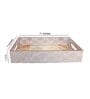 Cream & Gold MDF Wood Rani  Rectangle Serving Tray