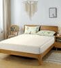 Cream & Green Glace Cotton Striped Elastic Fitted King Bedsheet With 2 Pillow Covers
