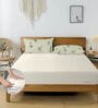 Cream & Green Glace Cotton Striped Elastic Fitted King Bedsheet With 2 Pillow Covers