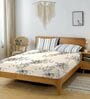 Cream & Grey Glace Cotton Floral Print Elastic Fitted King Bedsheet With 2 Pillow Covers