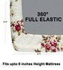 Cream 180 TC Floral Cotton Fitted Double Bedsheet 2 Pillow covers