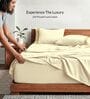 Cream 210 TC Cotton King Size Bedsheet with 2 Embroidered Pillow Covers