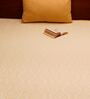 Cream Traditional 240 TC Cotton Queen Sized Bed Sheets with 2 Pillow Covers