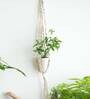 Cream Beads Knotted Cotton Boho Rope Macrame Plant Holder, Set of 4