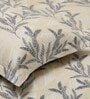 Cream Black Metro 186 TC Cotton King Bedsheet With 2 Pillow Covers