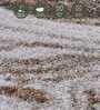 Cream Brown Abstract Polypropylene 5 ft x 2 ft Machine Made Runner