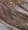 Cream Brown Abstract Polypropylene 6 ft x 4 ft Machine Made Carpet