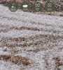 Cream Brown Abstract Polypropylene 7 ft x 5 ft Machine Made Carpet