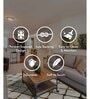 Cream Chevron Polypropylene 5 ft X 7 ft Machine Made Carpet