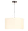 Garlen Silver Metal Hanging Light