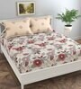 Cream Floral 144 TC Cotton Queen Sized Bedsheet Bedsheet 2 Pillow Prime Collection