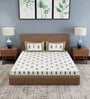 Cream Floral 180 TC 100% Cotton King Bed Sheet with 2 Pillow Cover