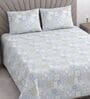 Grey Traditional 400 TC Cotton Queen Bedsheet with 2 Pillow covers Luxury Series Collection