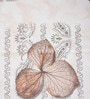 Cream Floral 400 TC Cotton Super King Bedsheet with 2 Pillow Covers Luxury Series Collection