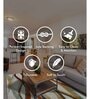 Cream Geometric Polypropylene 6 ft x 9 ft Machine Made Carpet