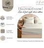 Cream Glace Cotton Solid Elastic Fitted King Bedsheet With 2 Pillow Covers