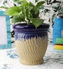 Matt 6 inch Cream Ceramic Planter