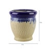 Matt 6 inch Cream Ceramic Planter