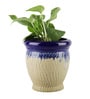 Matt 6 inch Cream Ceramic Planter