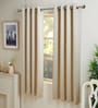 Cream Polyester Solid 5ft Blackout Eyelet Window Curtain (2 Pc)
