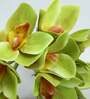 Cream Polyurethane Cymbedium Orchids Bunch Artificial Flowers