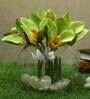 Cream Polyurethane Cymbedium Orchids Bunch Artificial Flowers