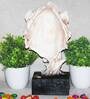 Cream Resin Tiger Showpiece