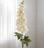 Cream Silk Cherry Blossom Silk Stem Single Stem Flower