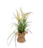 Cream Silk Plastic And Jute Artificial Foxtail Grass Arrangement Flower Bunch With Jute Wrap