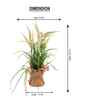 Cream Silk Plastic And Jute Artificial Foxtail Grass Arrangement Flower Bunch With Jute Wrap