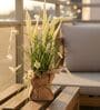 Cream Silk Plastic And Jute Artificial Foxtail Grass Arrangement Flower Bunch With Jute Wrap