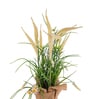 Cream Silk Plastic And Jute Artificial Foxtail Grass Arrangement Flower Bunch With Jute Wrap
