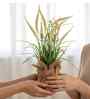 Cream Silk Plastic And Jute Artificial Foxtail Grass Arrangement Flower Bunch With Jute Wrap