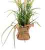Cream Silk Plastic And Jute Artificial Foxtail Grass Arrangement Flower Bunch With Jute Wrap