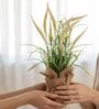 Cream Silk Plastic And Jute Artificial Foxtail Grass Arrangement Flower Bunch With Jute Wrap