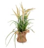 Cream Silk Plastic And Jute Artificial Foxtail Grass Arrangement Flower Bunch With Jute Wrap