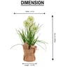 Cream Silk Plastic And Jute Faux Allium Flower Bunch With Jute Wrap